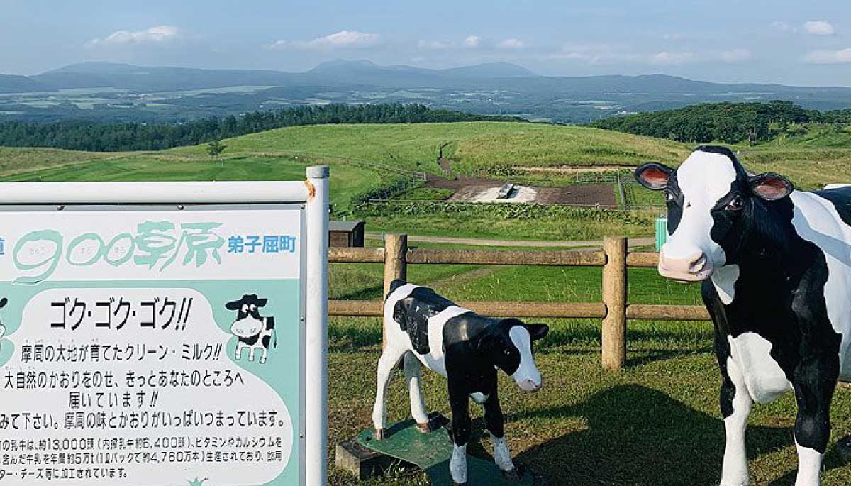 900草原（町営牧場）